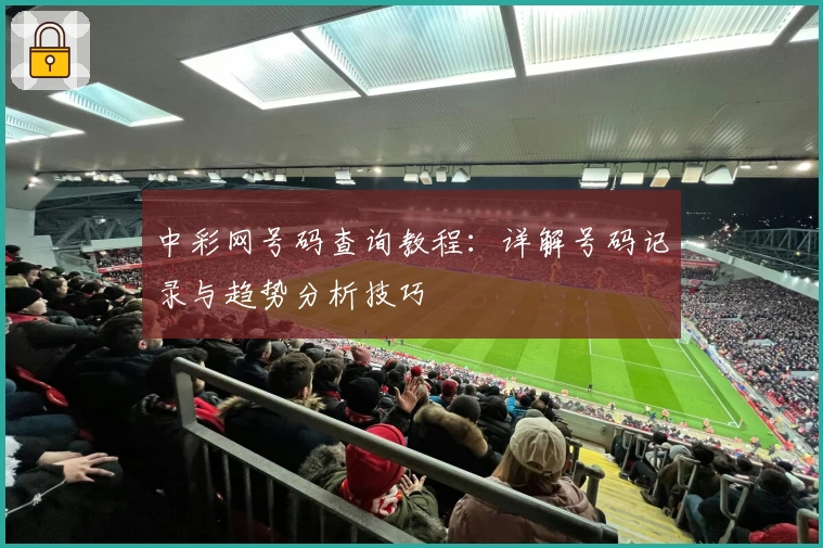 中彩网号码查询教程：详解号码记录与趋势分析技巧