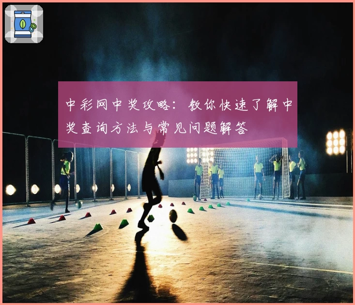 中彩网中奖攻略：教你快速了解中奖查询方法与常见问题解答