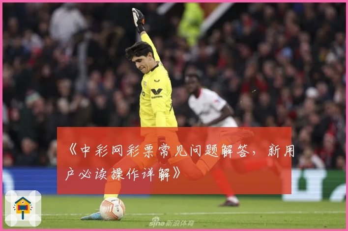 《中彩网彩票常见问题解答，新用户必读操作详解》