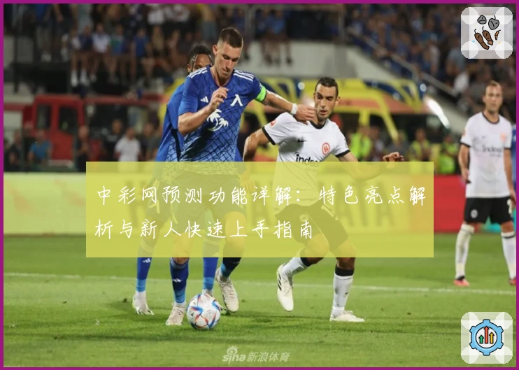 中彩网预测功能详解：特色亮点解析与新人快速上手指南